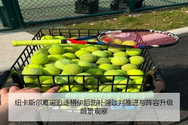 纽卡斯尔夏窗追逐格伊后防补强谈判推进与阵容升级前景观察 - kaiyun