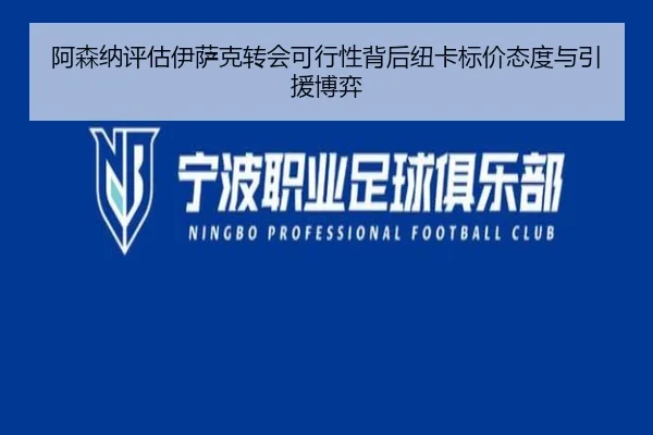 阿森纳评估伊萨克转会可行性背后纽卡标价态度与引援博弈