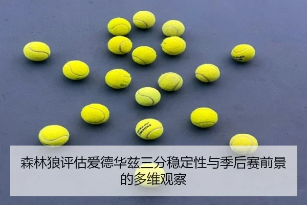 森林狼评估爱德华兹三分稳定性与季后赛前景的多维观察